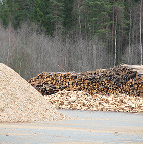 flis til biodrivstoffsak Foto LV