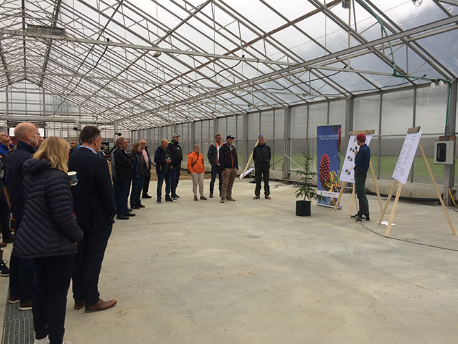 Senter for planteforedling Midt-Norge