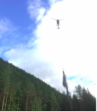Junkerdallia i Saltdal i Nordland