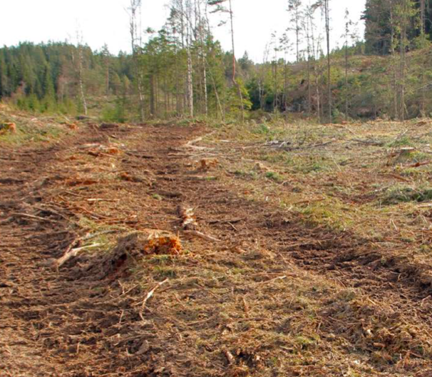 Skjermbilde 2019-04-12 kl. 12.16.28